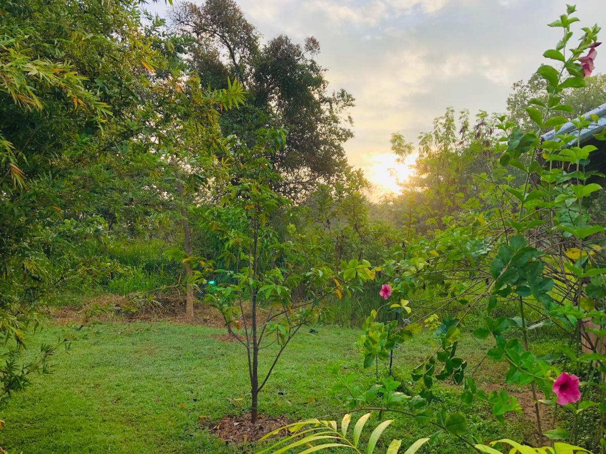 Sungreen Cottage Sigiriya Exterior photo