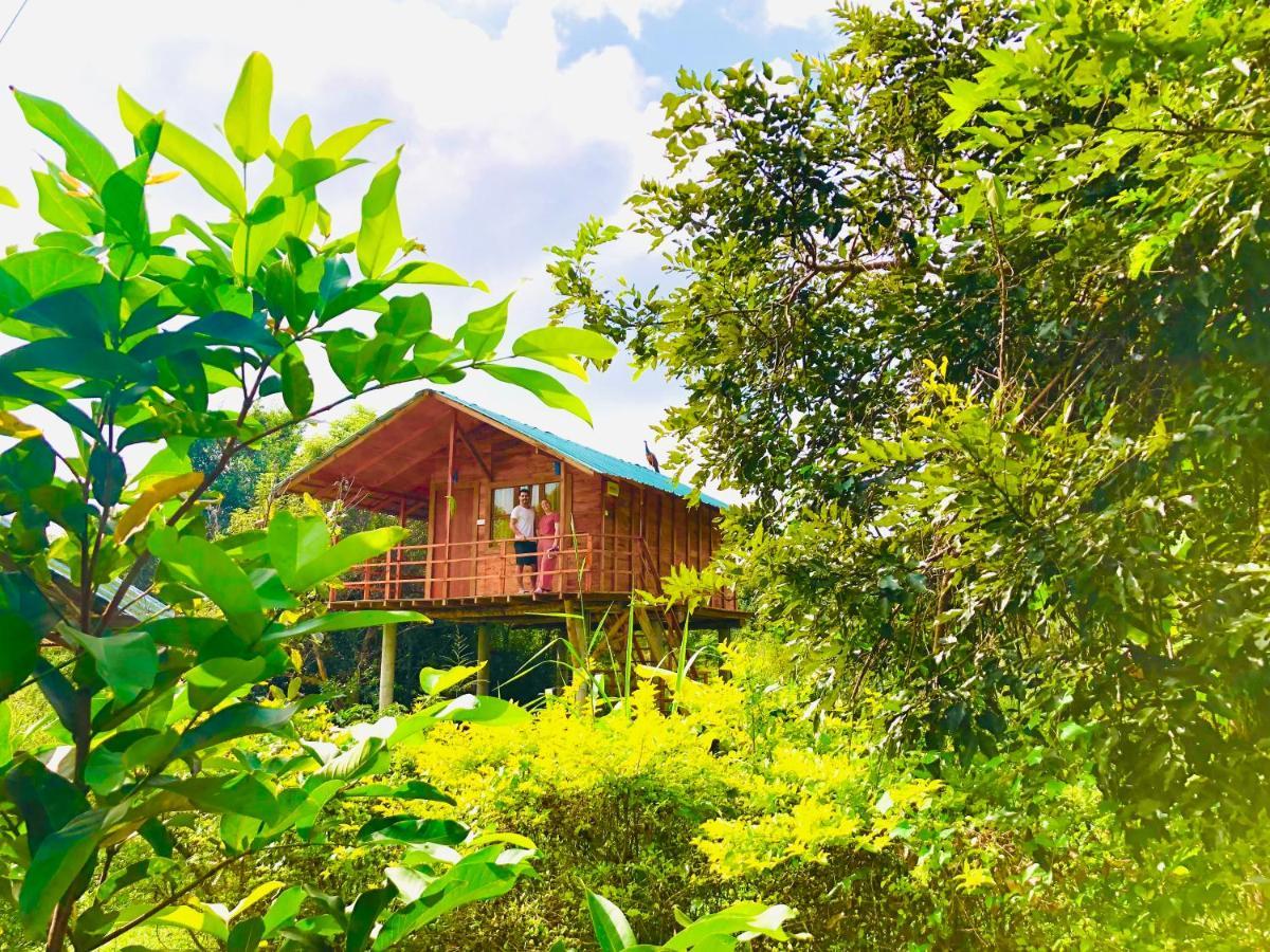 Sungreen Cottage Sigiriya Exterior photo
