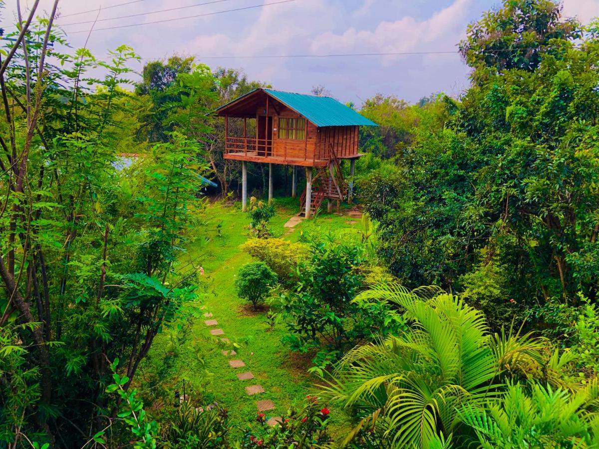 Sungreen Cottage Sigiriya Exterior photo